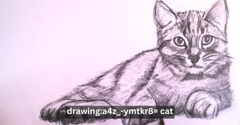 Drawing: a4z_-ymtkr8= Cat – The Ultimate Guide